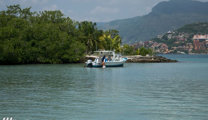 Las Gatas Zancas De Zihuatanejo 