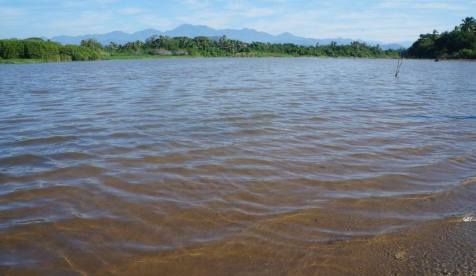 Playa Linda Estero 