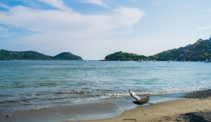 Playa Principal Bahia Ixtapa Zihuatanejo 