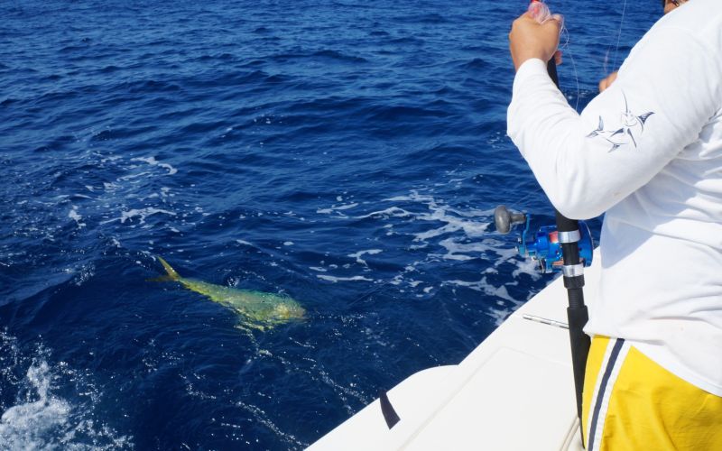 Pesca Zihuatanejo 