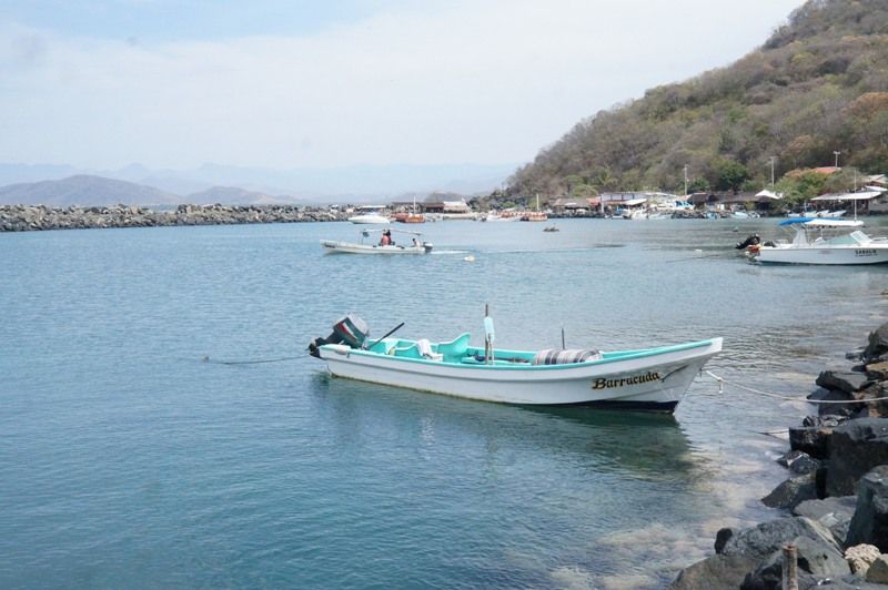 Puerto Vicente