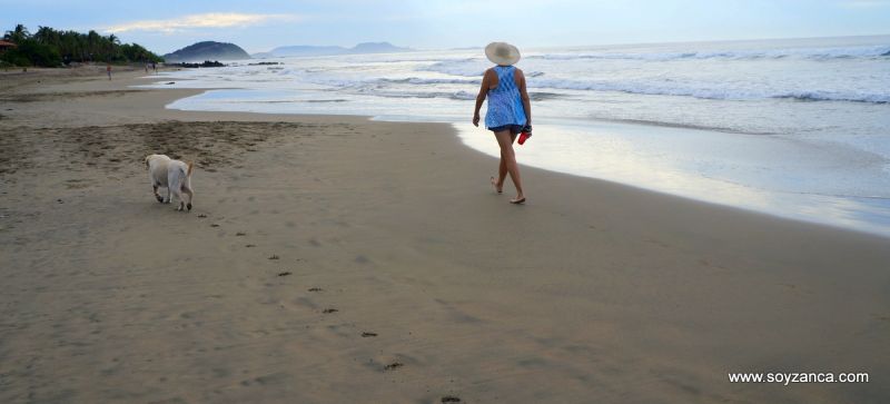 Playa Troncones 