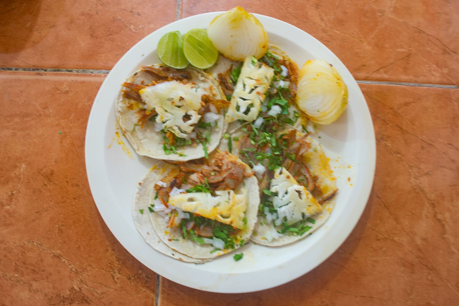 Flechita Roja zih.mx Ixtapa Zihuatanejo México